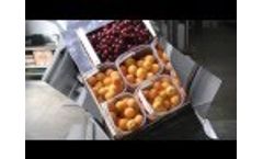 Cherry - Video