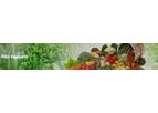 GMT - Model GMT2020 - Eat fresh buy fresh