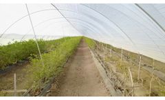 WaterBit Uses IoT Technology to Maximize Water Efficiency in Agriculture - Video