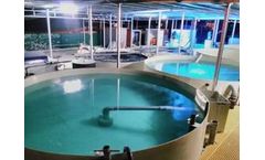 Wastewater Solutions for Compliance and Reuse Recirculating Aquaculture System - RAS
