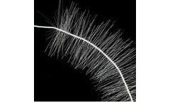 Small Boss - Biofilter Brush