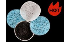 Small Boss - Biochip for Recirculating Aquaculture System