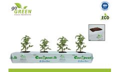 GO GREEN - GROW BAG