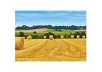 TenCate - Crop Protection Fabrics