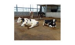 TenCate - Livestock Farming Flooring Components