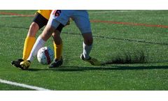 ECHA Releases New Study