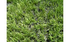 The Crumb Rubber Sector Again Under ECHA Investigation