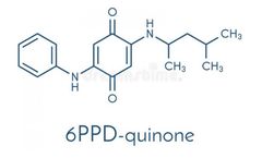 Researchers Pioneer 6PPD Breakthrough
