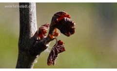 Hemstedt Winefrost Control English - Video