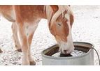 Hemstedt - Drinking Trough Heater