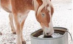 Hemstedt - Drinking Trough Heater