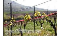 Hemstedt - Wine Frost Control Mat