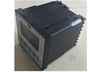 Brace - Model WT200 PH/ORP - Controller