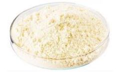 Xinhe-Biological - Plant Sterol Esters Powder
