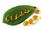 Arenouen - Model 3 - Vegan Omega Oil Softgel