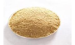 Xinhe-Biological - Schizochytrium Algae Powder