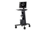 Terumo - Intravascular Imaging Systems