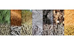 SERVODAY - Raw Material Buying Guide