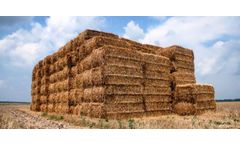 SERVODAY - Monsoon Preparation Guide for Biomass Raw Material and Finished Pellets