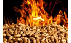 SERVODAY - Biomass Pellets Savings Calculator