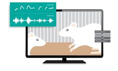 UltraVox - Version XT - Rodent Ultrasonic Vocalizations Software