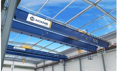 Regional Analysis: Asia-Pacific's Dominance in EOT Crane Market