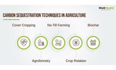 Carbon Sequestration Techniques in Agriculture: Harnessing Data for a Sustainable Future