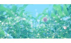 Optimizing Agricultural Production with AI and ML Solutions