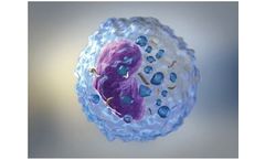 OLS-Omni - Model HiSep - Lymphocyte Separation Media