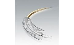 Abbott Absolute - Model Pro - Vascular Self-Expanding Stent System