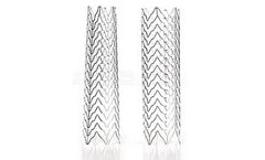 Abbott Acculink - Model RX - Carotid Stent System