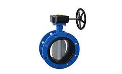 Ivalve-Tech - Double Flange Concentric Butterfly Valve