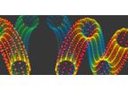 QUANTUMProbes - Sensitive & Scalable DNA/RNA Target Enrichment