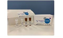 Clarigene - Model SARS-CoV-2 CE-IVD - SARS-CoV-2 - RT-qPCR Assay Kit