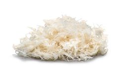 OsteoStrand - OsteoStrand Fibers