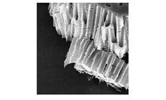 Unique-Mem - Track Etched Membranes