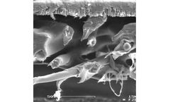 RoTrac - Track-Etched Membranes