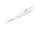 LimFlow - Ultrasound Arterial & Venous Catheter Kit and Ultrasound Monitor System