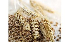 Chromatography laboratory instrumentation for feed industry