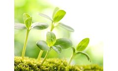 Chromatography Laboratory Instrumentation for Environmental Analysis Sector