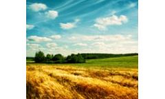 Parallel evaporation in environmental consultancy