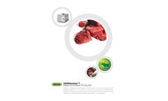 NIRMaster Meat & Meat Products Brochure