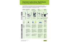 Drug Discovery Workflow