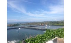 What are the types of Geomembrane