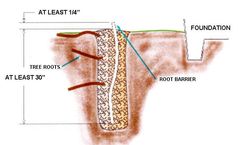 How deep should a root barrier be?