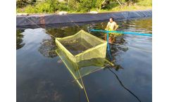 The Most Comprehensive Guide to Pond Liners
