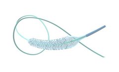 MicroPort - Model Firehawk - Rapamycin Target Eluting Coronary Stent System
