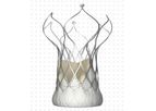 VitaFlow - Aortic Valve System