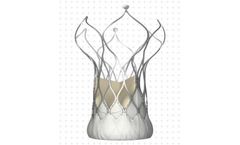 VitaFlow - Aortic Valve System