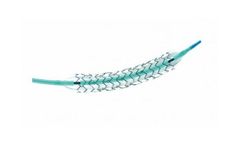 MicroPort - Model FIREBIRD2 - Rapamycin Eluting Coronary CoCr Stent System